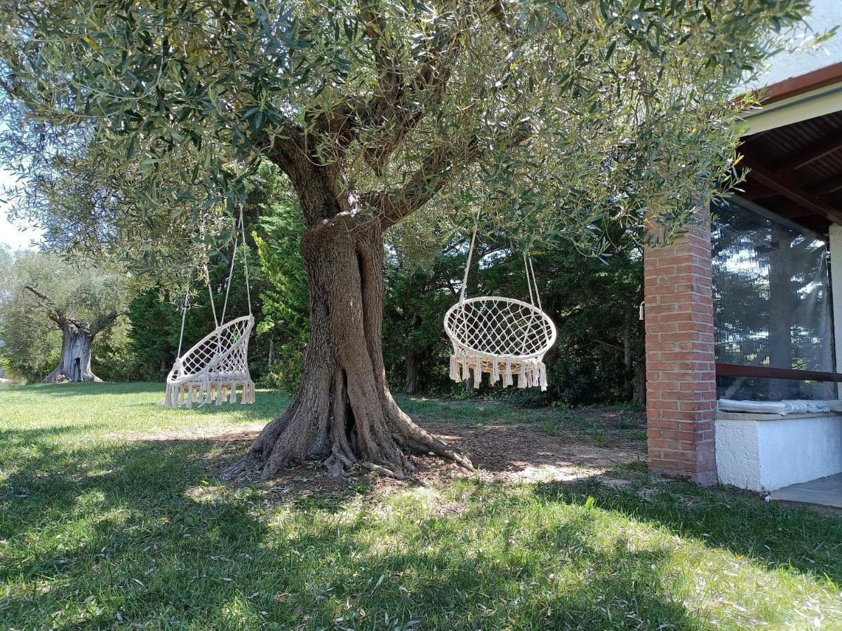 Апартаменти Marios Garden House Афітос Екстер'єр фото